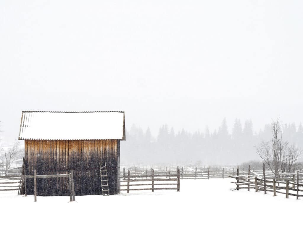 Bescherming voor weidedieren in de wintermaanden