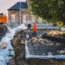 Werken-oude-lindeboom