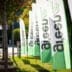 Na 4 jaar komt de private en publieke groensector opnieuw samen tijdens Green 3