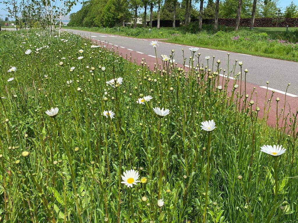 Kleurrijke en duurzame tuinen,  parken en weiden: een bloemlezing