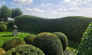 Gepassioneerd door tuinonderhoud en -aanleg 3