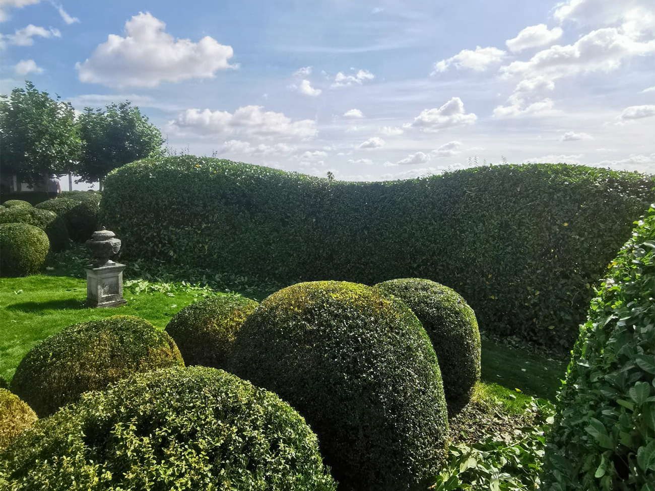 Gepassioneerd door tuinonderhoud en -aanleg 3