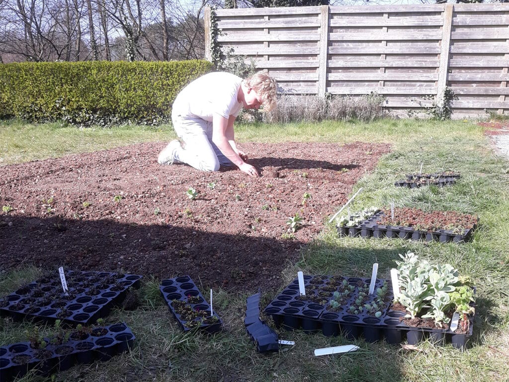 WAAROM GEEN GROENDAK IN JE TUIN?