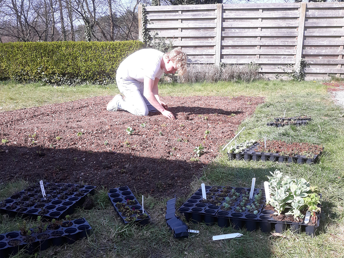 WAAROM GEEN GROENDAK IN JE TUIN? 8