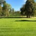 GreenPro-1