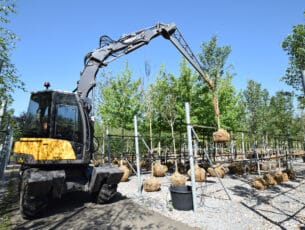 Mecalac_12MTX_0834