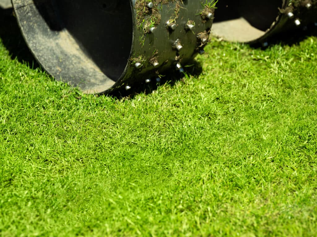 Een groene grasmat, het hele jaar door