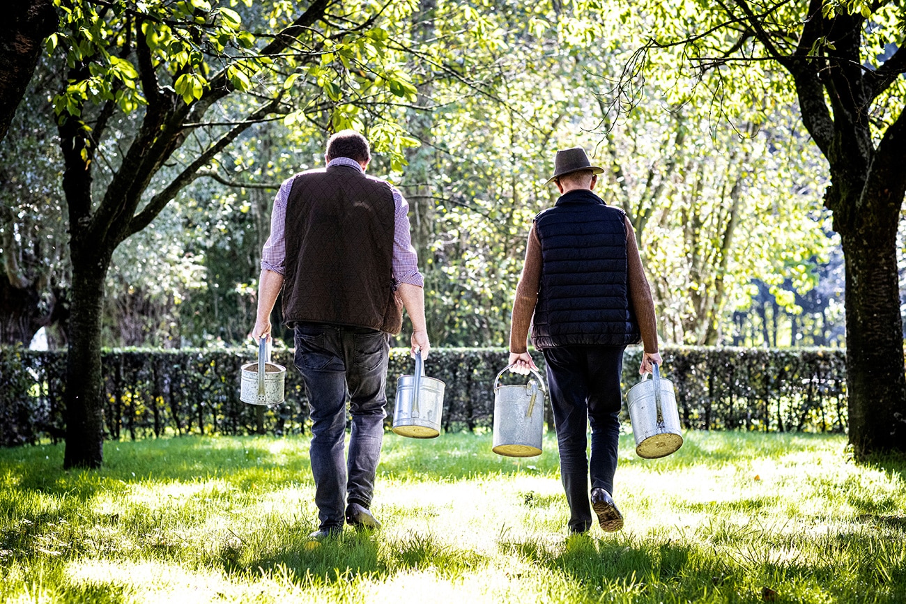 Mooiere tuinen door waterinfiltratie 4