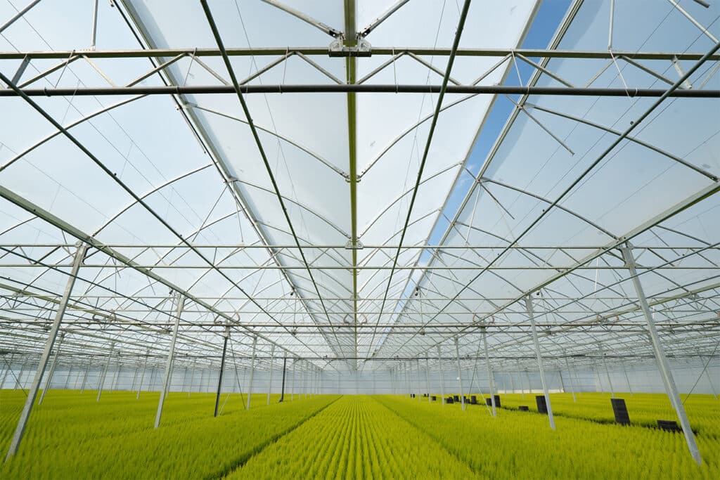 Breng het licht tot diep in de plant