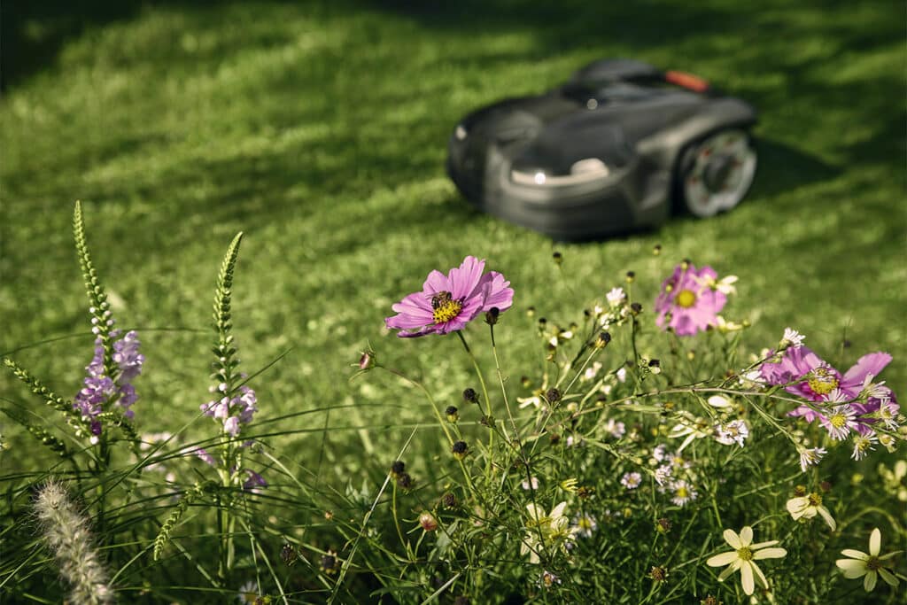 Meer wilde natuur in de tuin dankzij Rewilding Mode van Husqvarna robotmaaiers