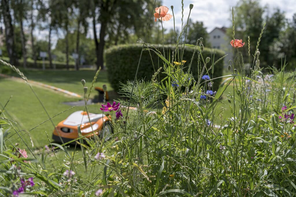 Een tuin waarin insecten en andere kleine diertjes welkom zijn