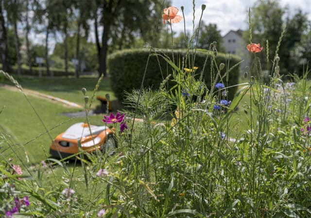 STIHL_Garten_und_Bio_1