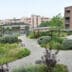 Emma Callens (EMC Greenroofs) is WOMED Belofte van het Jaar 3