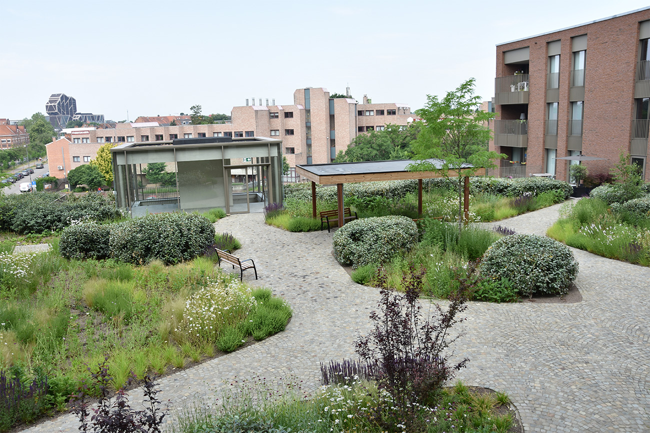 Emma Callens (EMC Greenroofs) is WOMED Belofte van het Jaar 7