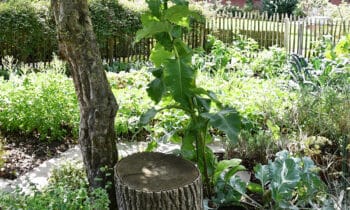 Greenpro_-(1)