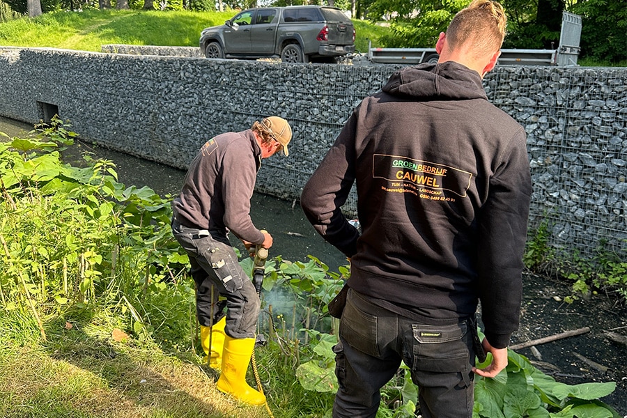 DUURZAME ONKRUIDBESTRIJDING MET STROOM