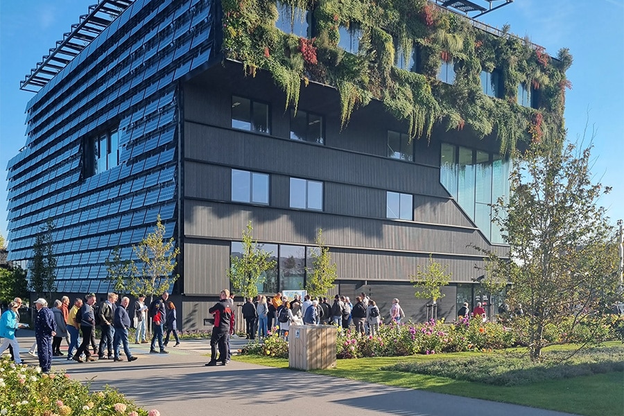 Belgische Tuincentra Vereniging: een bron van expertise en groene inspiratie