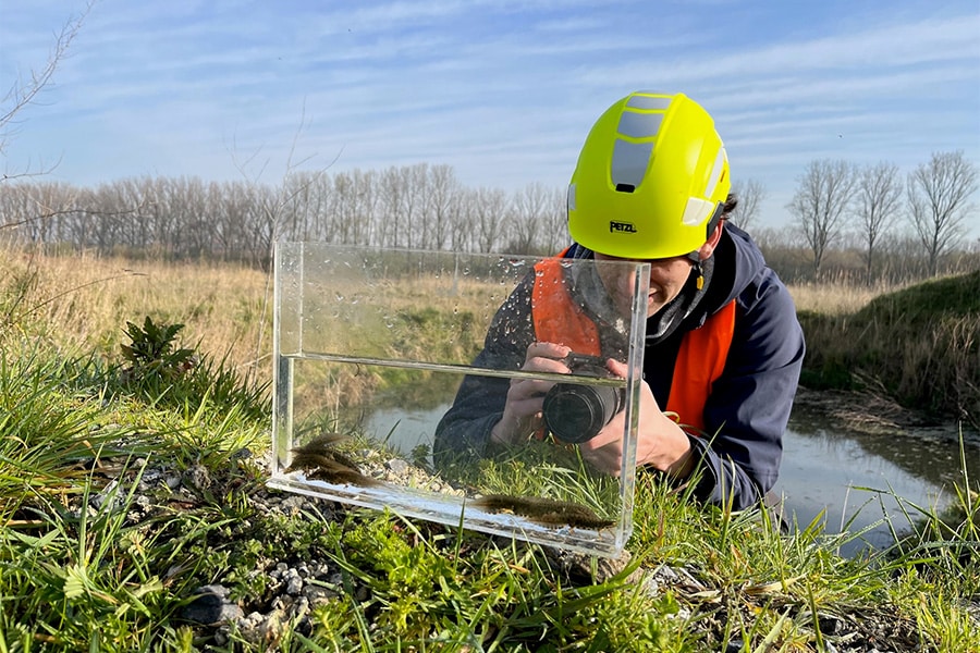 De natuur als oplossing voor een toekomstbestendige en gezonde leefomgeving