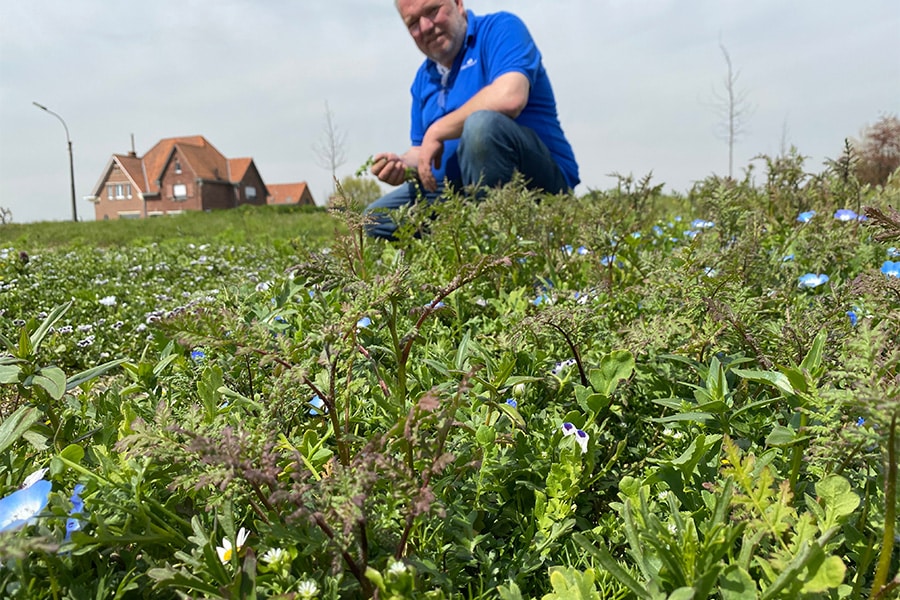 Advanta op de Nationale Grasdag