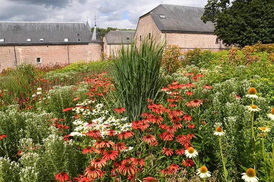 Een leven gewijd aan vaste planten en prairietuinen