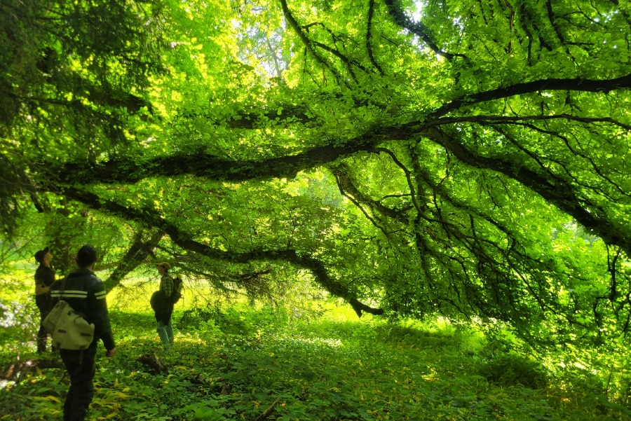 De impact van het veranderende klimaat op onze tuinbouwsector