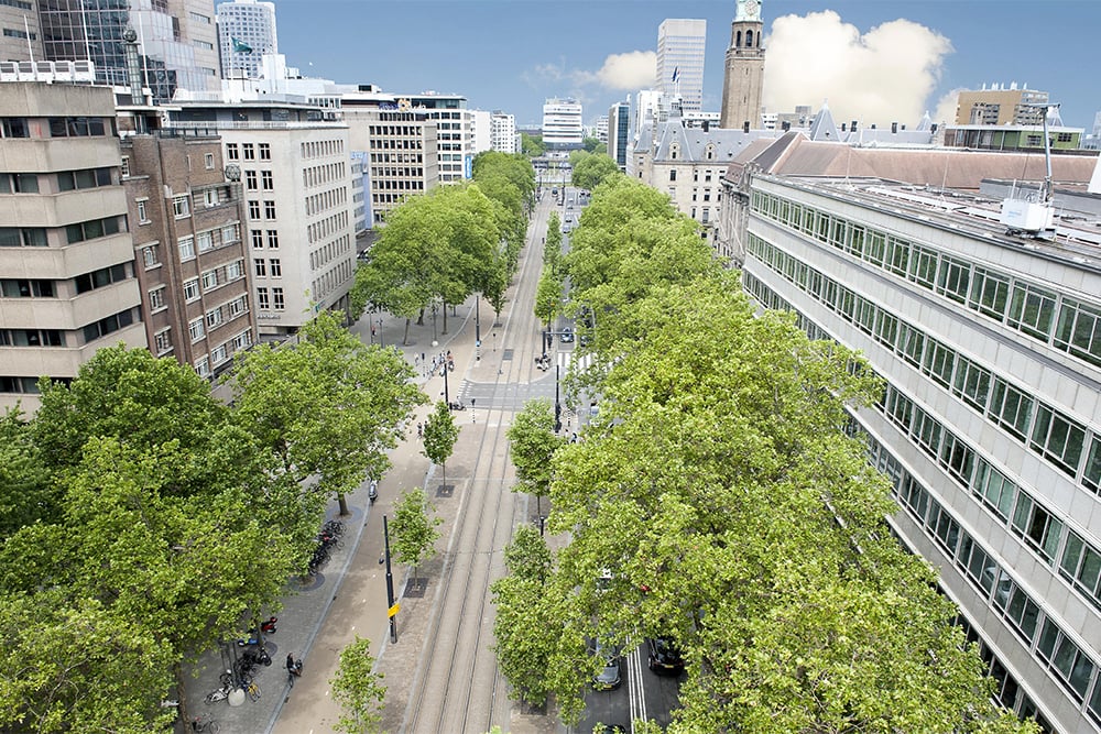 Ruimte voor beworteling met een boombunker