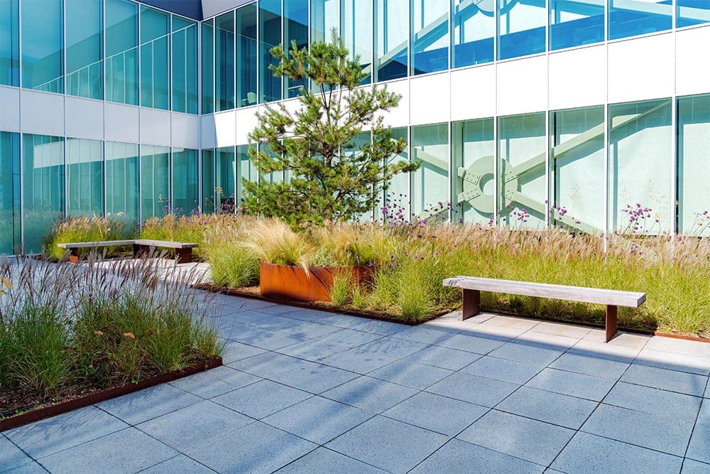 Daktuinen op een state-of-the-art distributiecentrum in Rotterdam