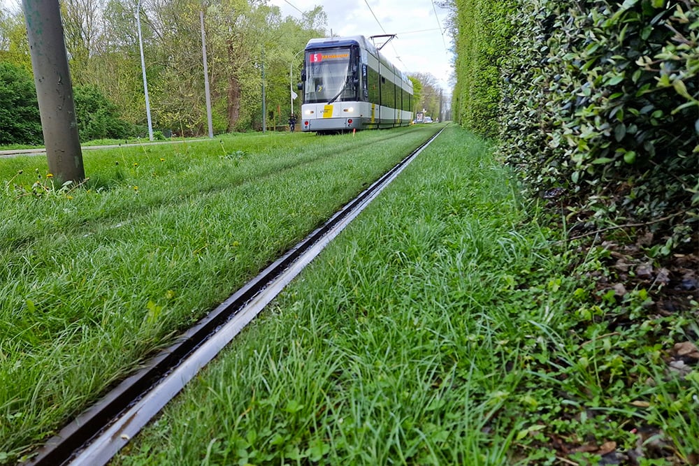 Microklaver als geheim wapen in ontharding