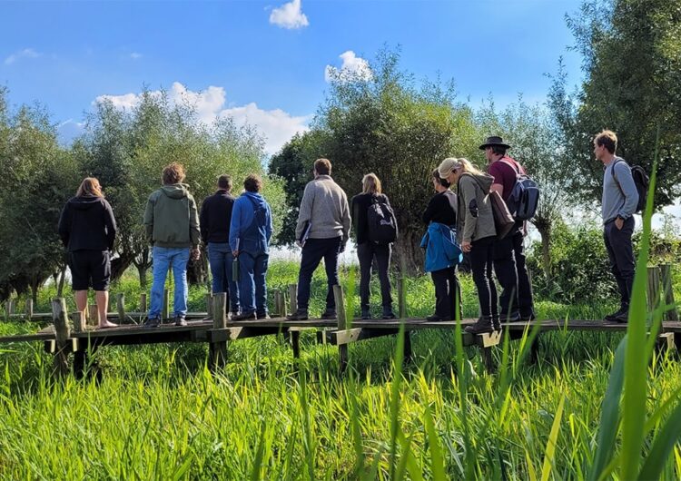 Essentiële opleidingen voor tuinaannemers 2