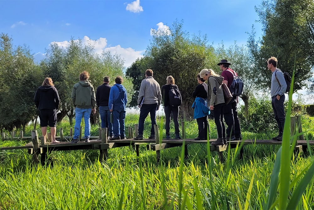 Essentiële opleidingen voor tuinaannemers