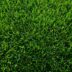 Innovatieve meststof voor gelijkmatig groeiend gras 1