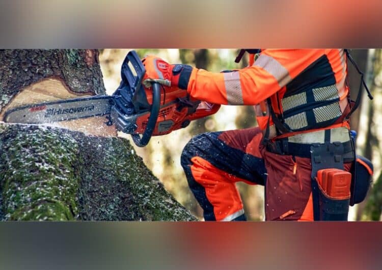 Husqvarna op Demo Forest: betere boomverzorging dankzij geavanceerde technologie 3