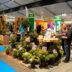 Vakbeurs GrootGroenPlus zet boomkwekerijsector in the picture 3