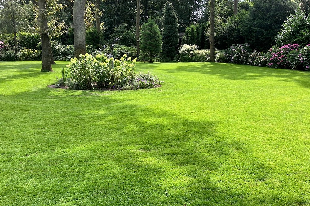 Ook grasmengsels worden steeds duurzamer