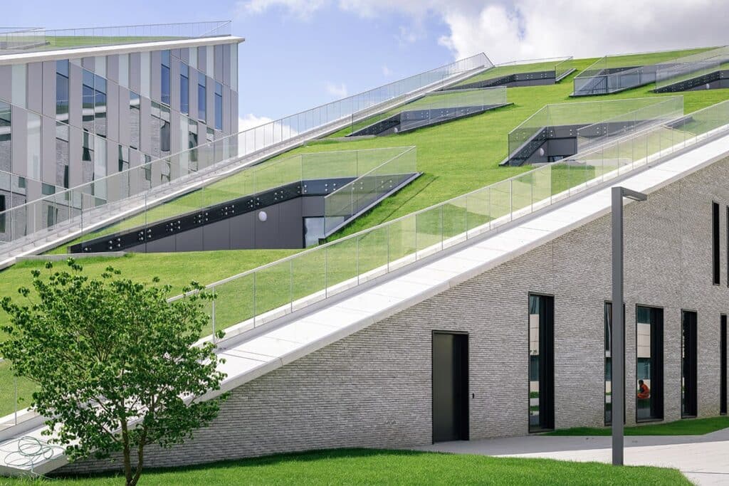 Steden zitten boordevol groen en blauw potentieel
