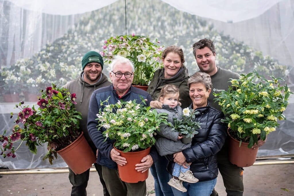 Kwekerij Helleborus BV verkoopt meer dan 125 soorten Helleborus
