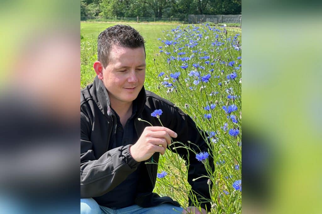 Bloeimengsels helpen steden en gemeenten vergroenen