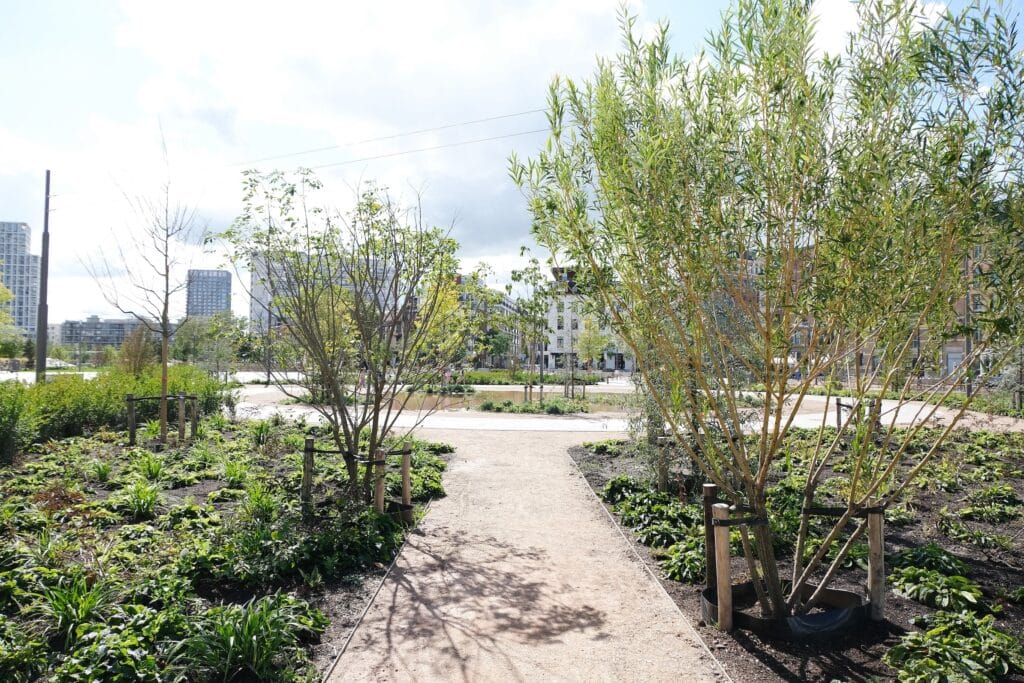 De juiste omstandigheden en substraten voor optimaal renderende groenaanleg en efficiënt waterbeheer