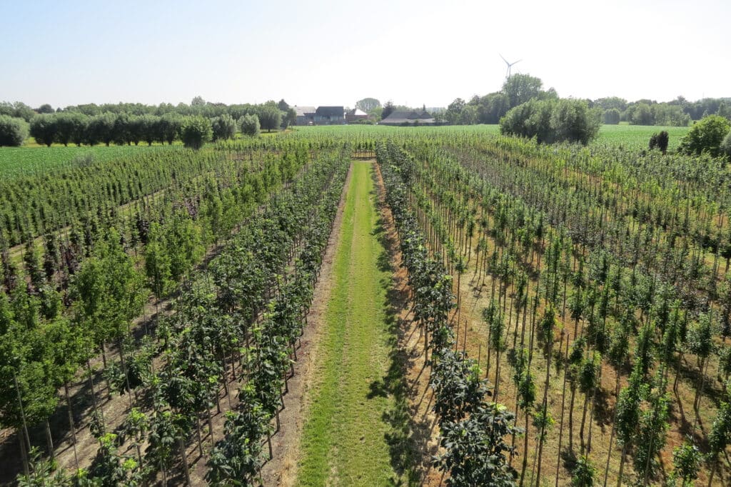Greentraders: dé betrouwbare partner voor elk groenproject