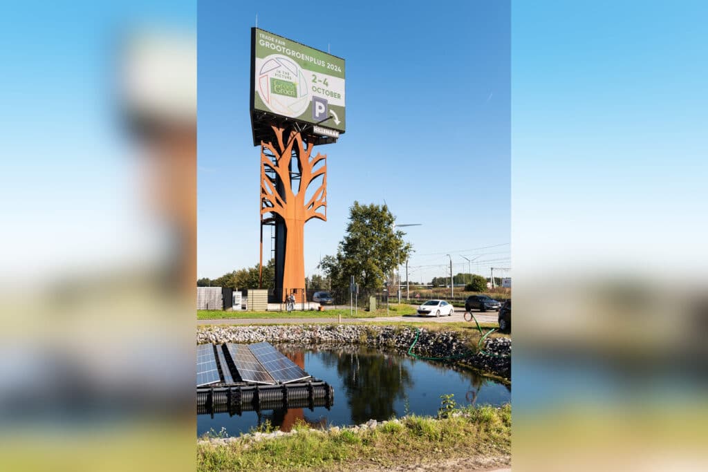 De kracht van vakbeurzen en de les van Buxus 3