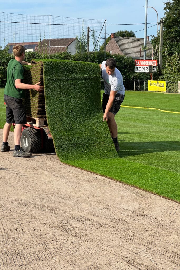 Dit is het geheim achter een perfecte grasmat, het hele jaar door 1