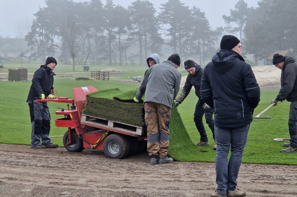 Dit is het geheim achter een perfecte grasmat, het hele jaar door 7