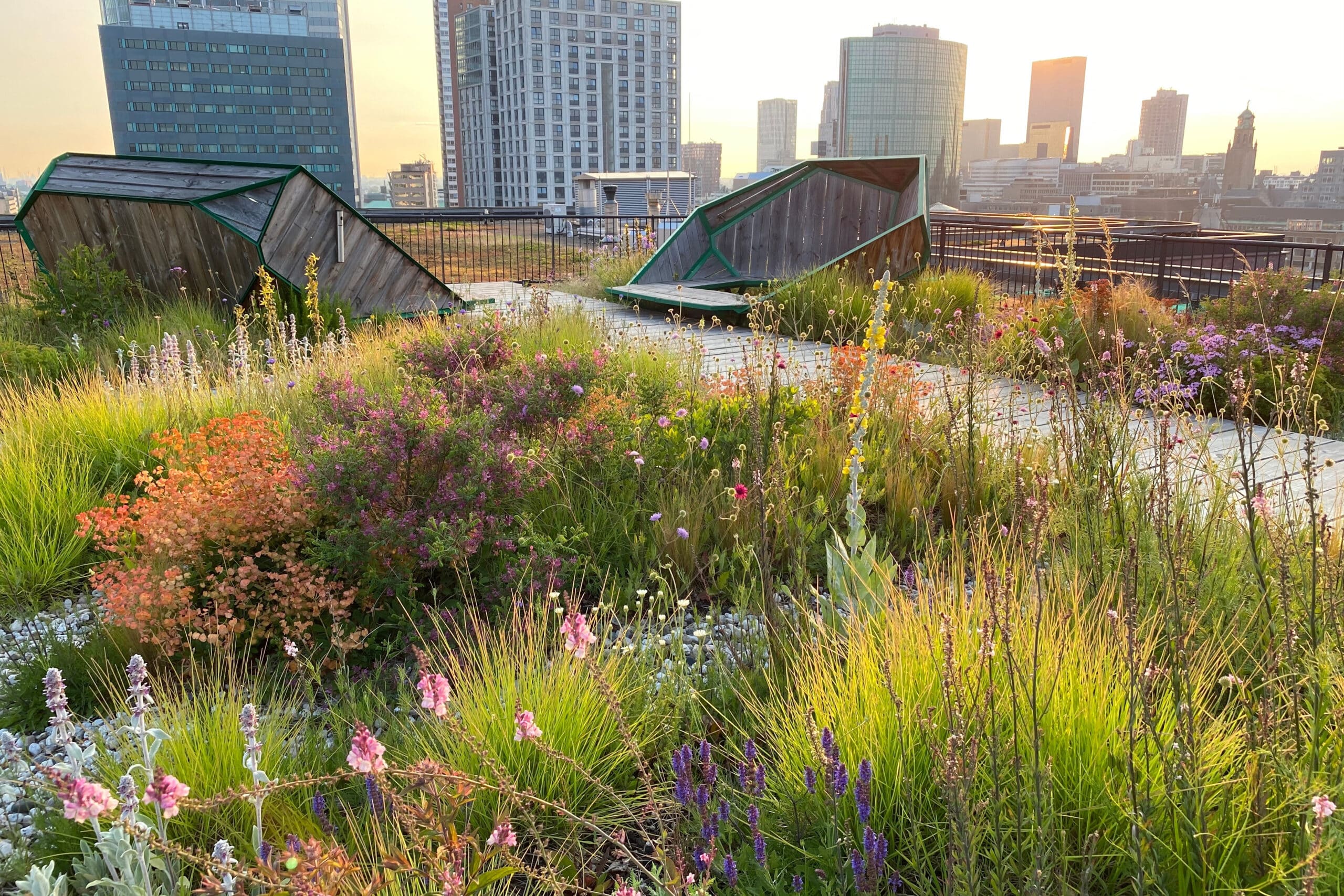 Duurzaamheidslabels: waardevol instrument of slechts een  marketingtool? 4