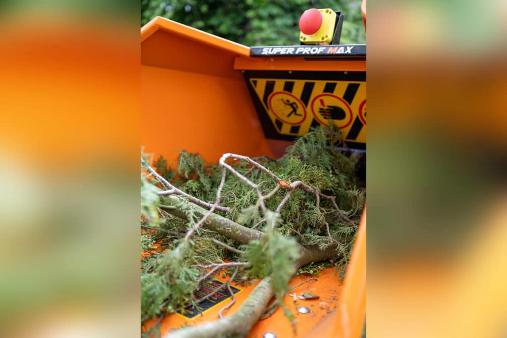 Meer groen als klimaatoplossing 1