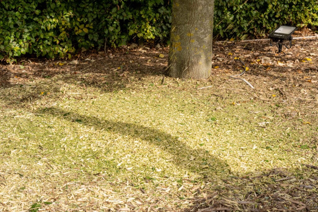 Meer groen als klimaatoplossing 3