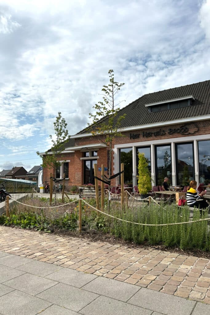 Succesvol groenbeheer in Duffel: op maat van inwoners, groendienst en klimaat 3