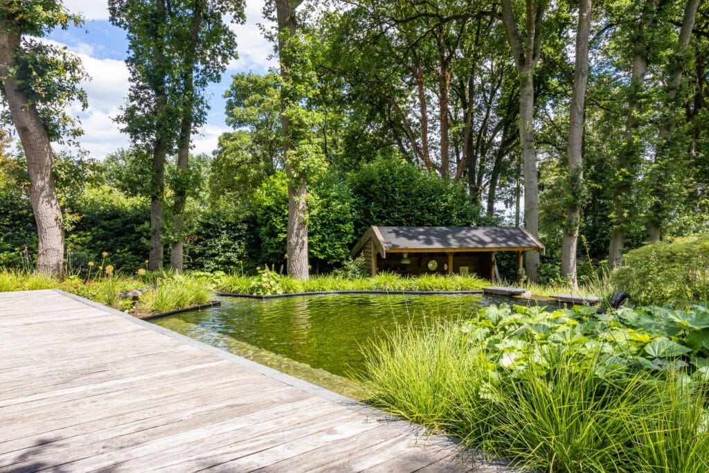Adembenemende metamorfose: van zielloze tuin tot droomparadijs met zwemvijver 1