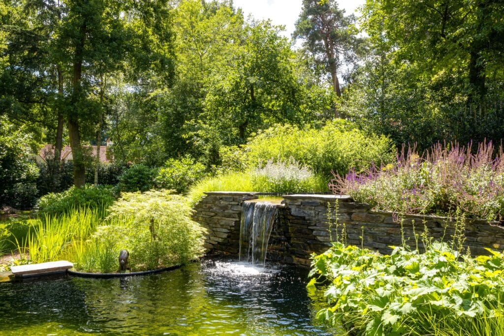 Adembenemende metamorfose: van zielloze tuin tot droomparadijs met zwemvijver 3
