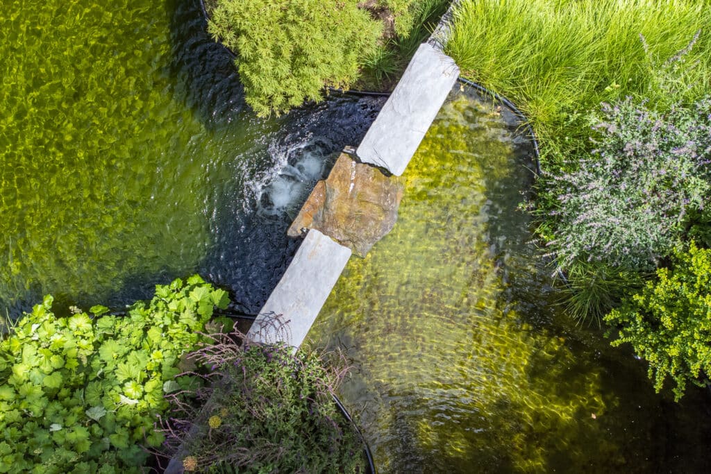 Adembenemende metamorfose: van zielloze tuin tot droomparadijs met zwemvijver 2