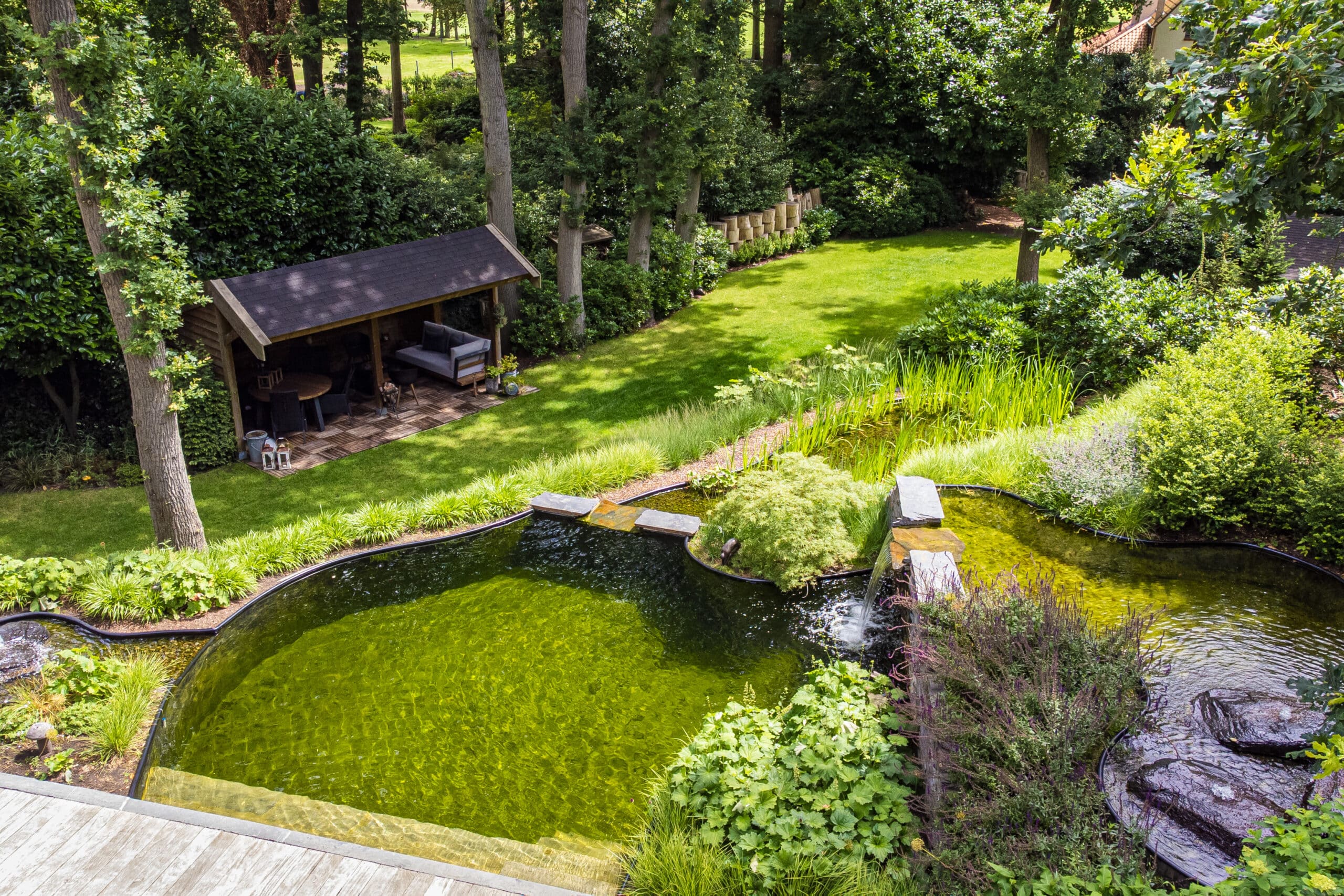 Adembenemende metamorfose: van zielloze tuin tot droomparadijs met zwemvijver 3